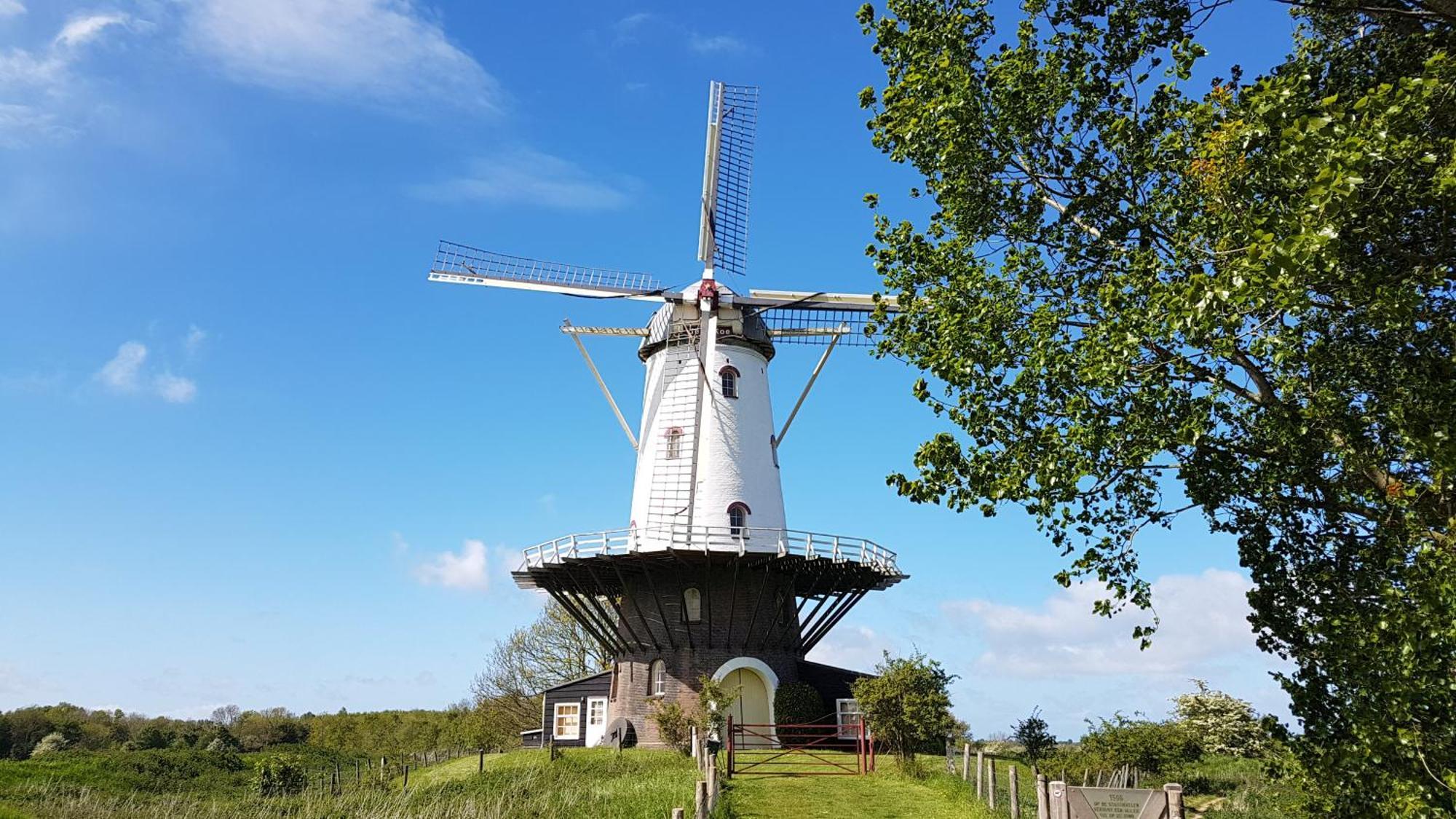 Olmenduin Veere Zeeland