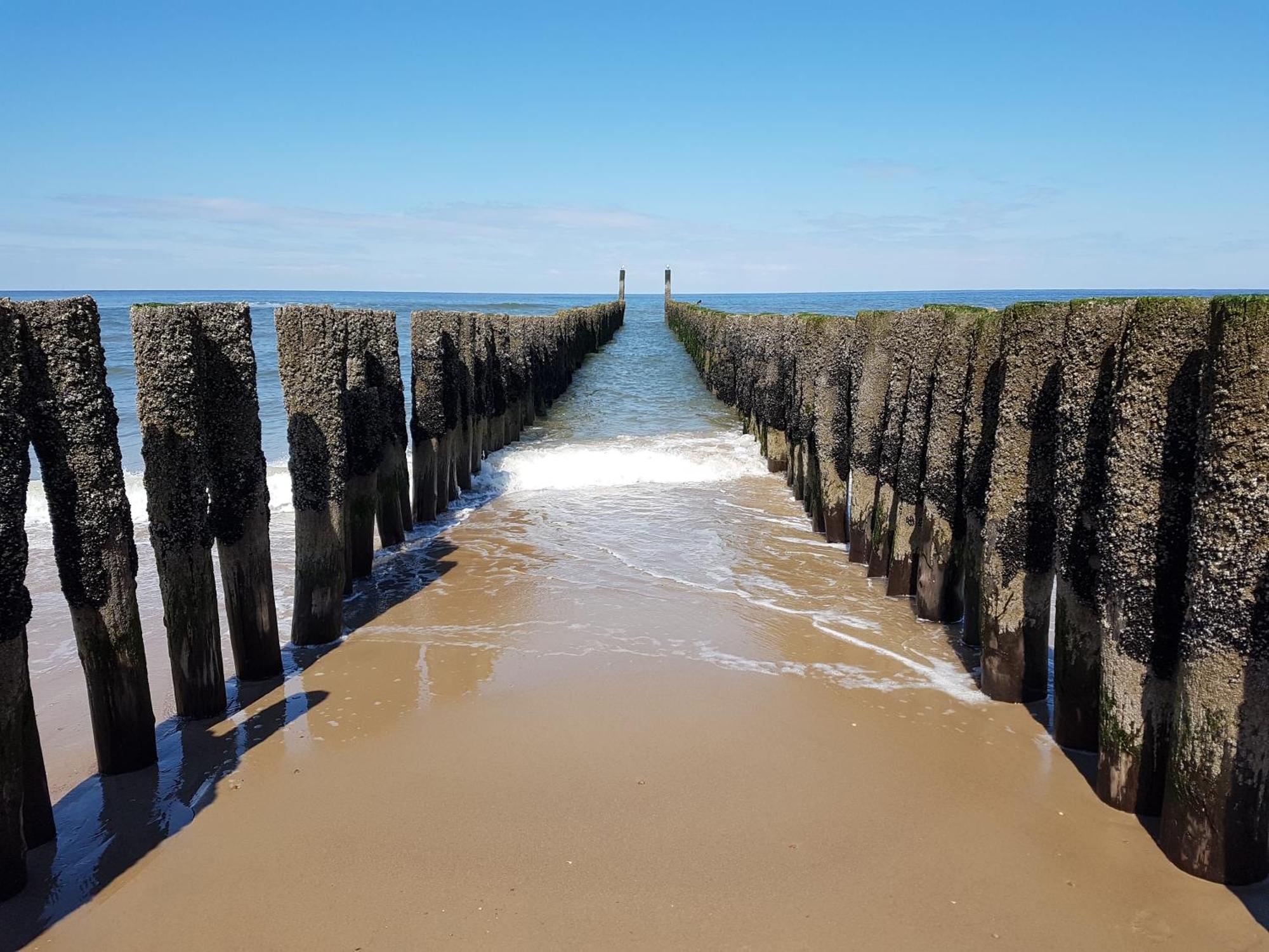 Olmenduin Veere Zeeland *